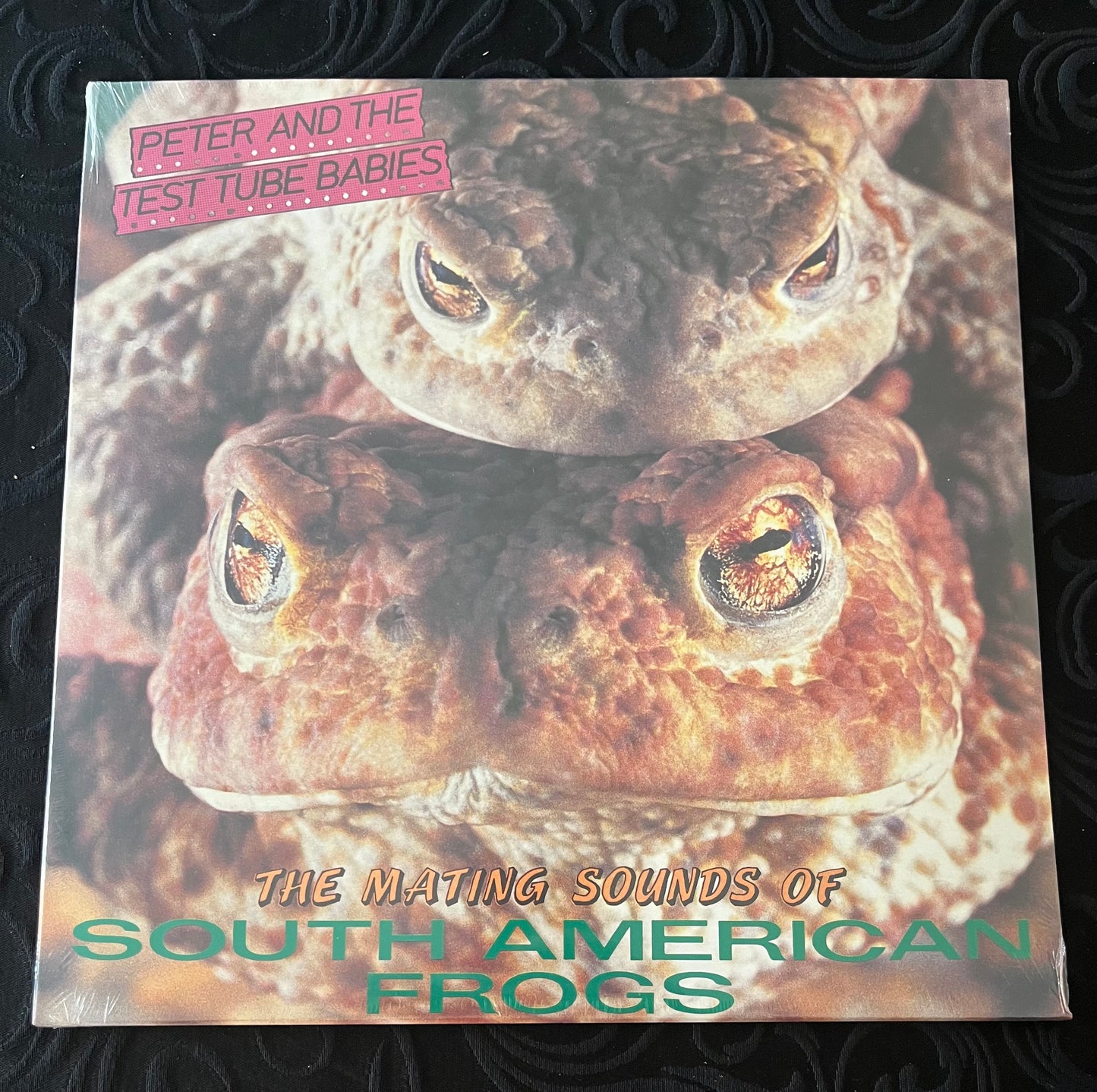 PETER AND THE TEST TUBE BABIES The Mating Sounds Of South American Frogs LP NEW REISSUE