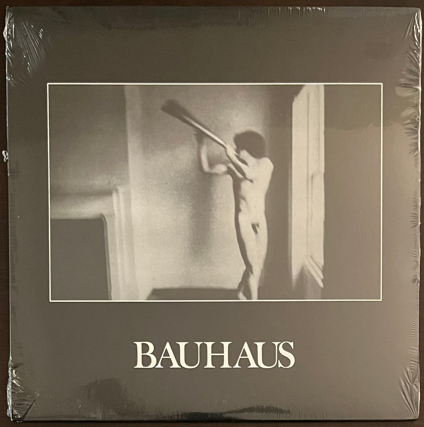 BAUHAUS In The Flatfield LP NEW REISSUE